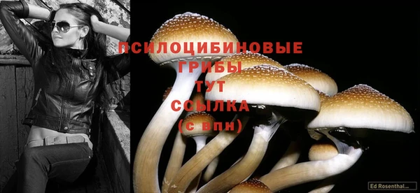 2c-b Саяногорск