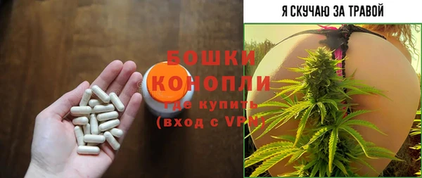 2c-b Саяногорск