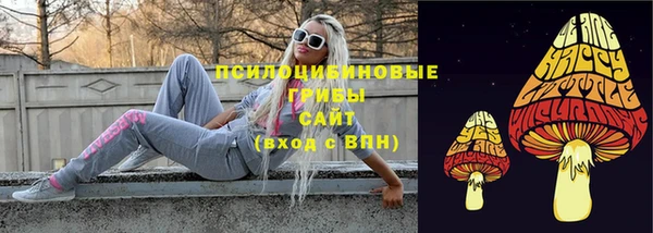гидропоника Сатка