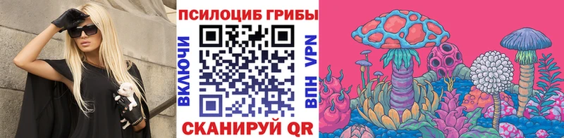 Галлюциногенные грибы Cubensis  сколько стоит  Шагонар 